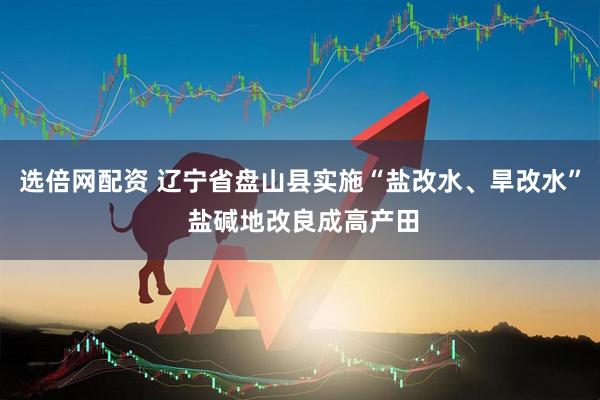 选倍网配资 辽宁省盘山县实施“盐改水、旱改水” 盐碱地改良成高产田