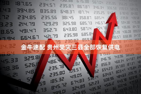 金牛速配 贵州受灾三县全部恢复供电