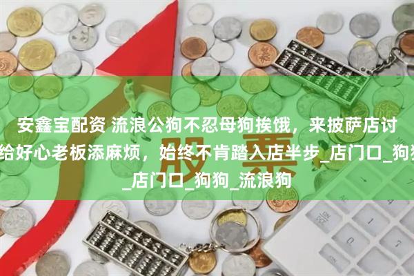 安鑫宝配资 流浪公狗不忍母狗挨饿，来披萨店讨食，又怕给好心老板添麻烦，始终不肯踏入店半步_店门口_狗狗_流浪狗