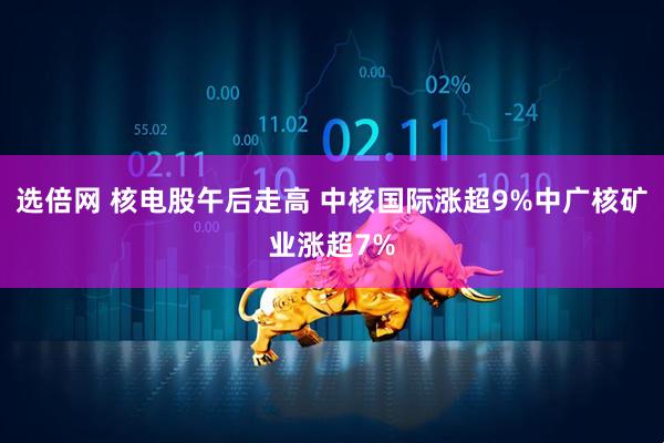 选倍网 核电股午后走高 中核国际涨超9%中广核矿业涨超7%