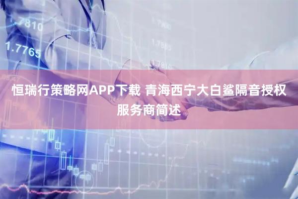 恒瑞行策略网APP下载 青海西宁大白鲨隔音授权服务商简述